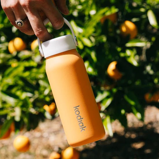 Kodiak - 250ml Impact Insulated Drink Bottle - The Flower Crate
