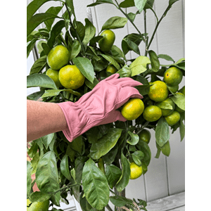 Leather Gardening Gloves - Small - The Flower Crate