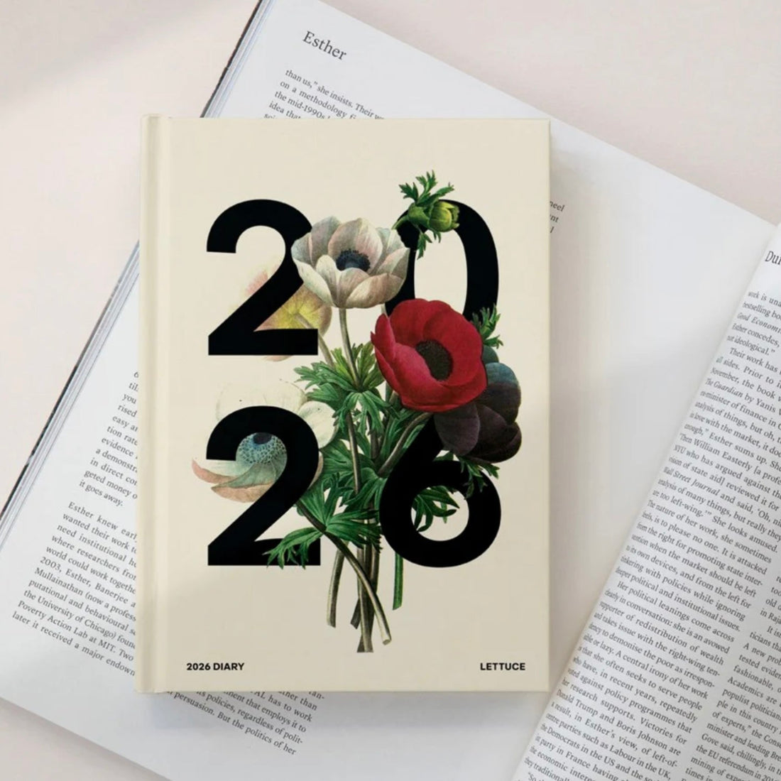 Lettuce - 2026 Anemones Daily Diary - The Flower Crate