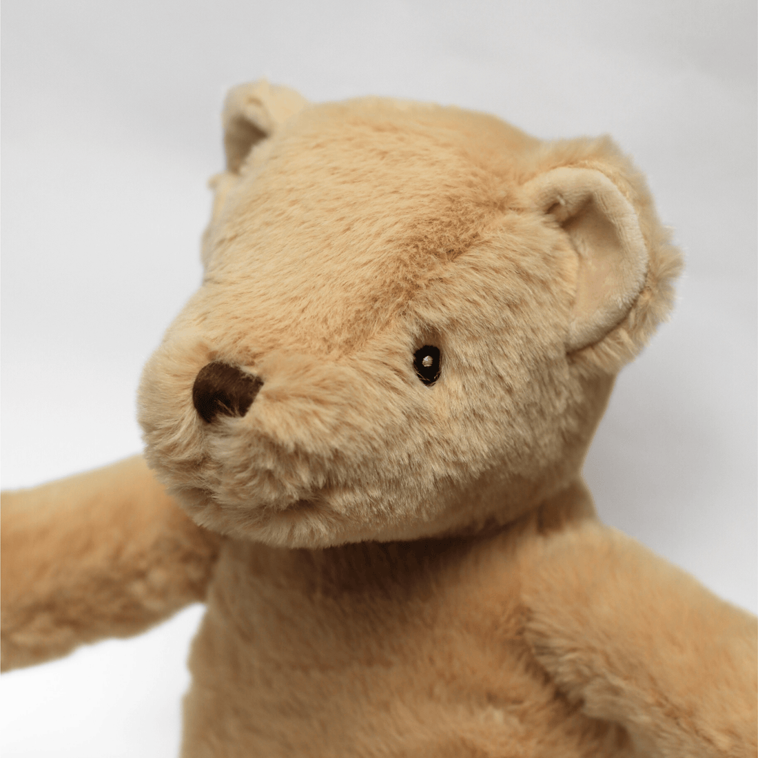 Lily &amp; George - Flopsy the Bear - The Flower Crate