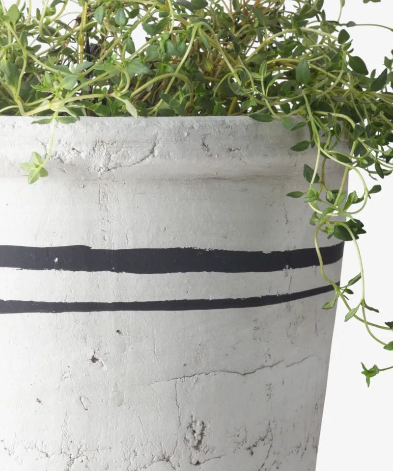 Lisbon Herb Pot - The Flower Crate