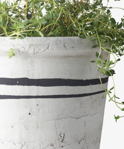 Lisbon Herb Pot - The Flower Crate