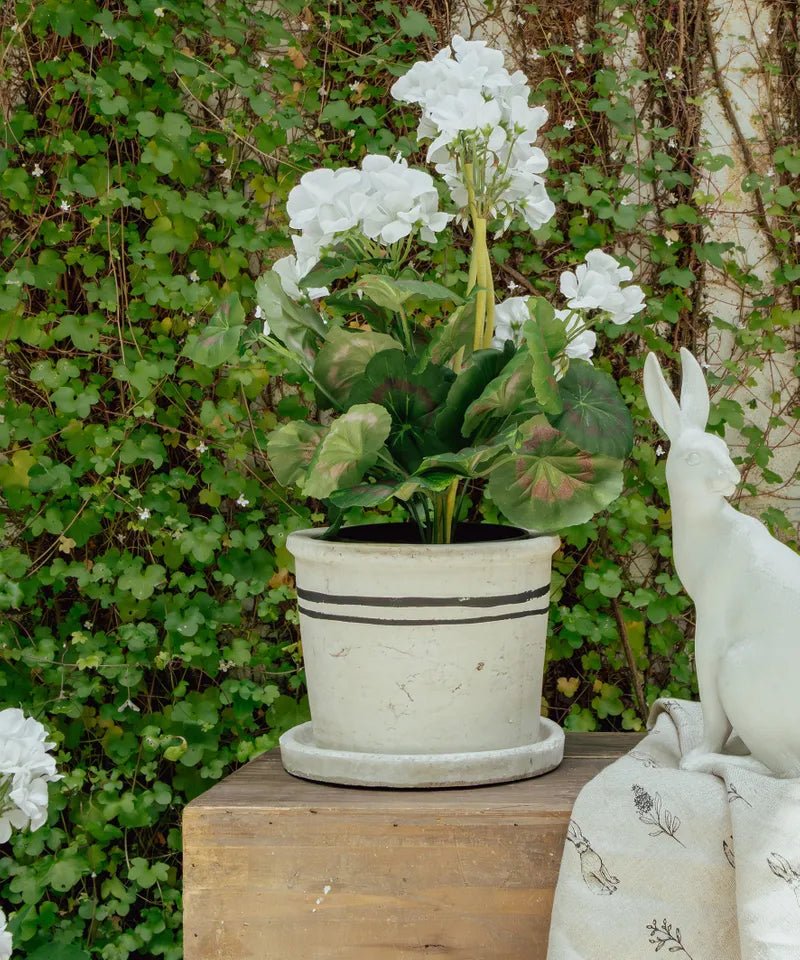 Lisbon Herb Pot - The Flower Crate
