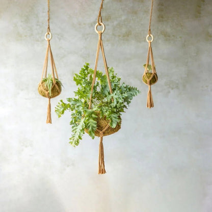 Macramé Plant Hanger - The Flower Crate