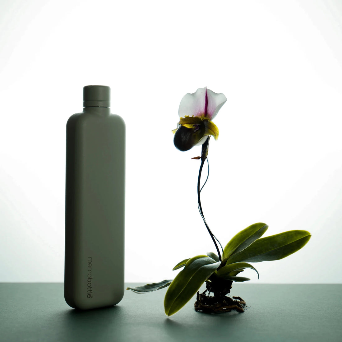 Memobottle - Slim Stainless Steel, Pistachio - The Flower Crate
