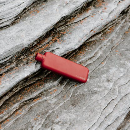 Memobottle - Slim Stainless Steel, Red - The Flower Crate