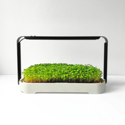 Micropod - Micro Garden Kit - The Flower Crate