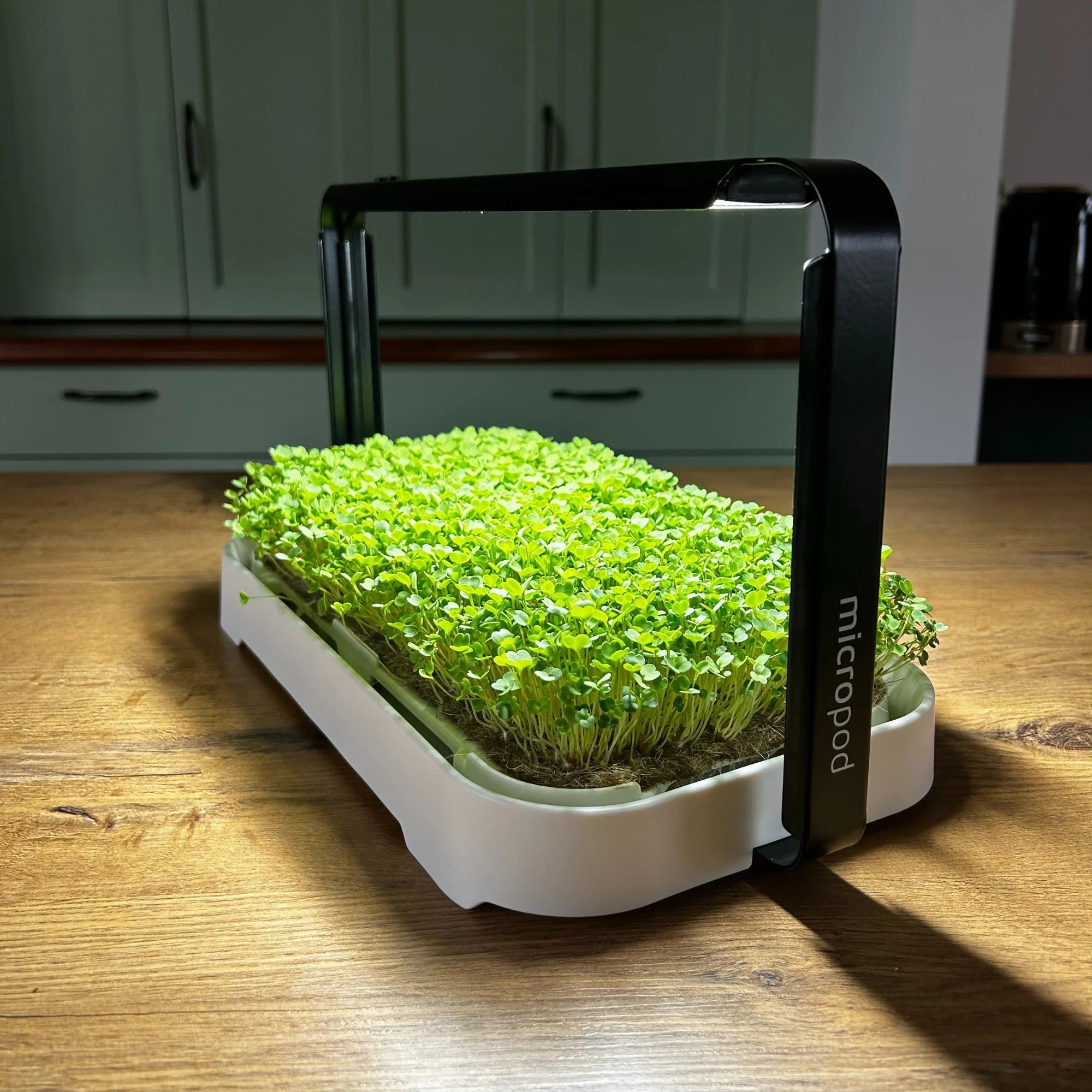 Micropod - Micro Garden Kit - The Flower Crate