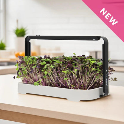 Micropod - Micro Garden Kit - The Flower Crate
