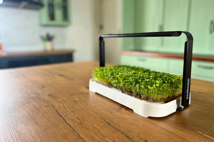 Micropod - Micro Garden Kit - The Flower Crate