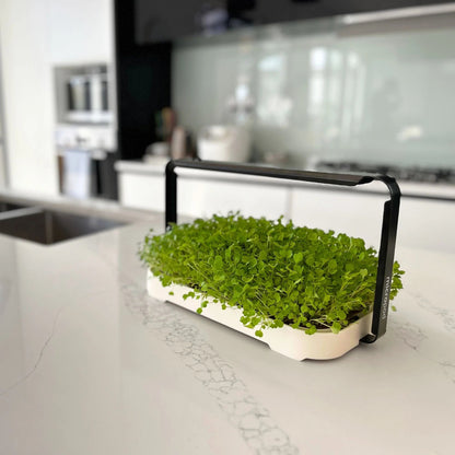 Micropod - Micro Garden Kit - The Flower Crate