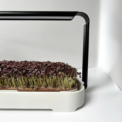 Micropod - Micro Garden Kit - The Flower Crate
