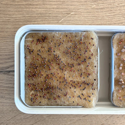 Micropod - Replacement Growmat - The Flower Crate