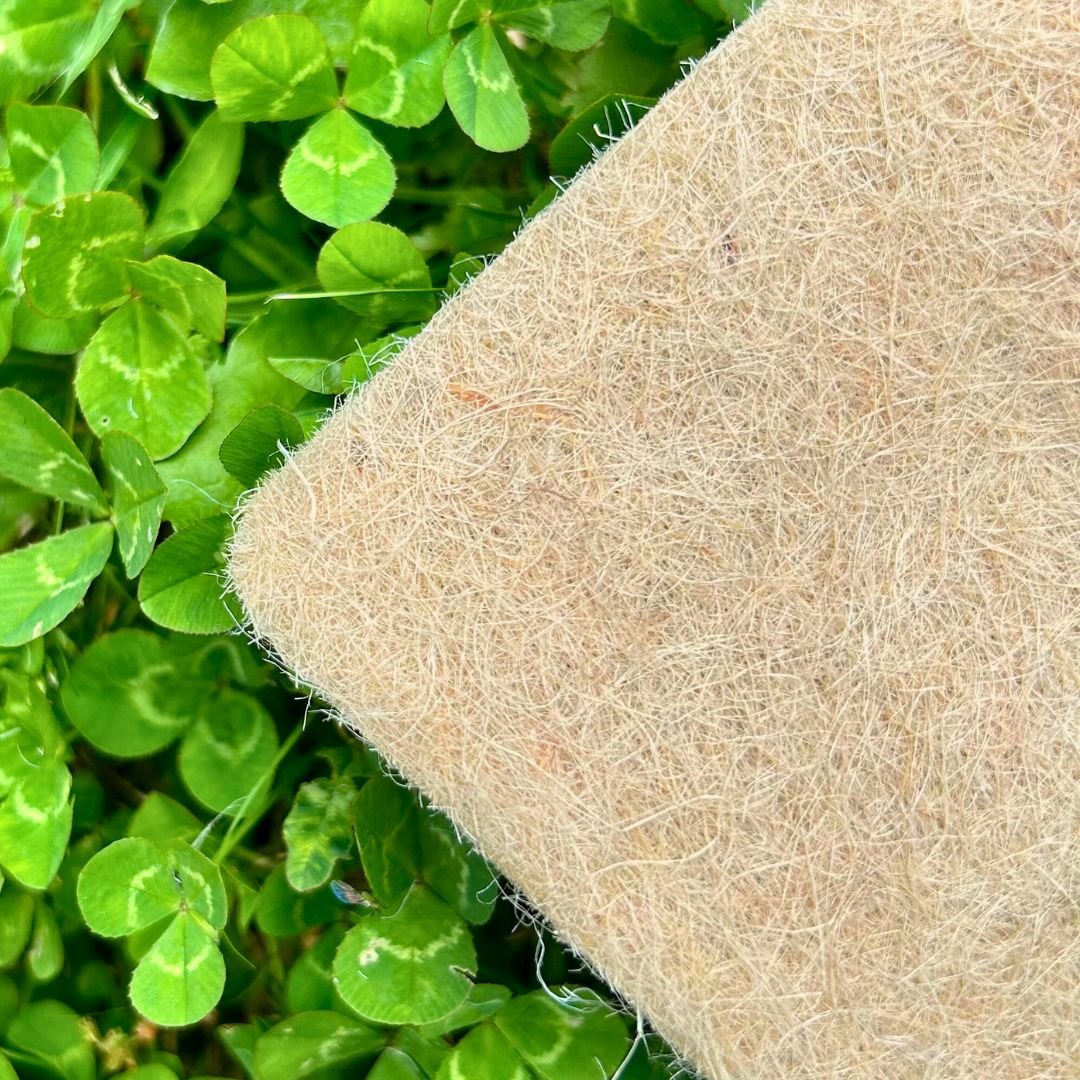 Growmat Micropod - Replacement Growmat - The Flower Crate