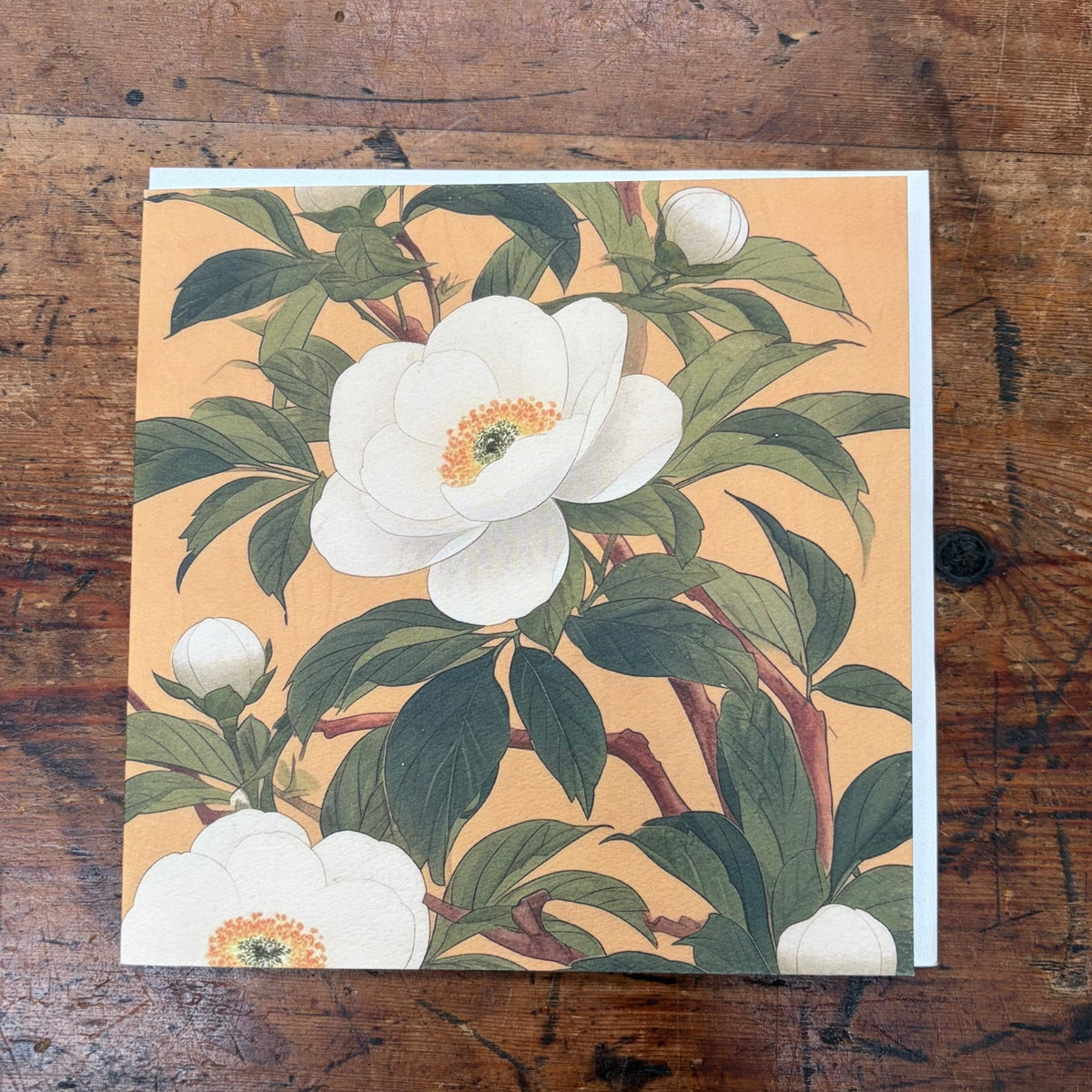 Museum Collection Greeting Card - The Flower Crate