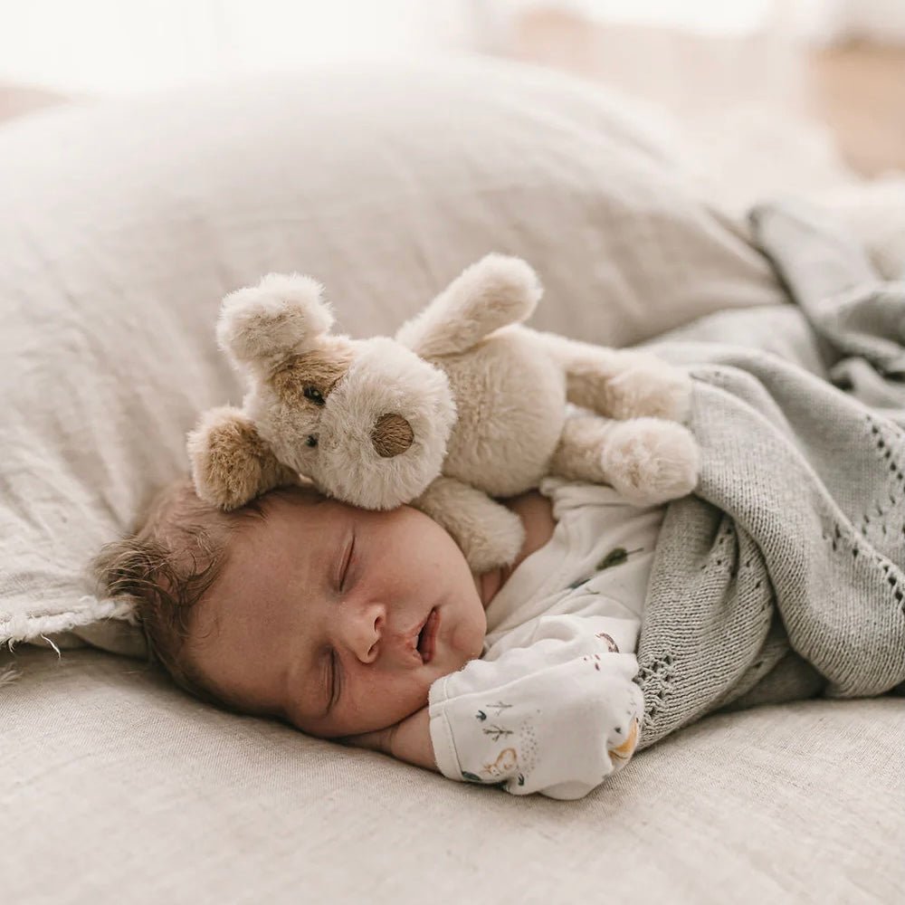 Nana Huchy - Buddy Dog Rattle - The Flower Crate