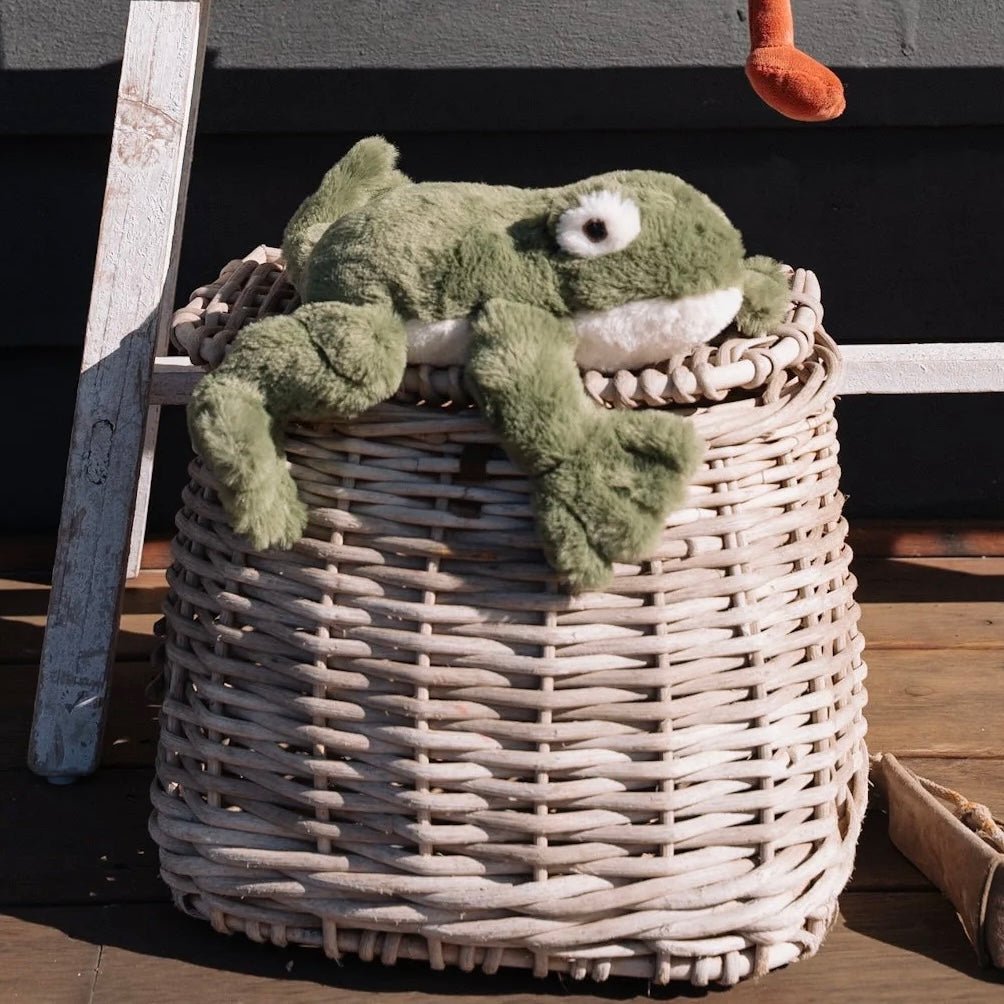 Nana Huchy - Finley the Frog - The Flower Crate