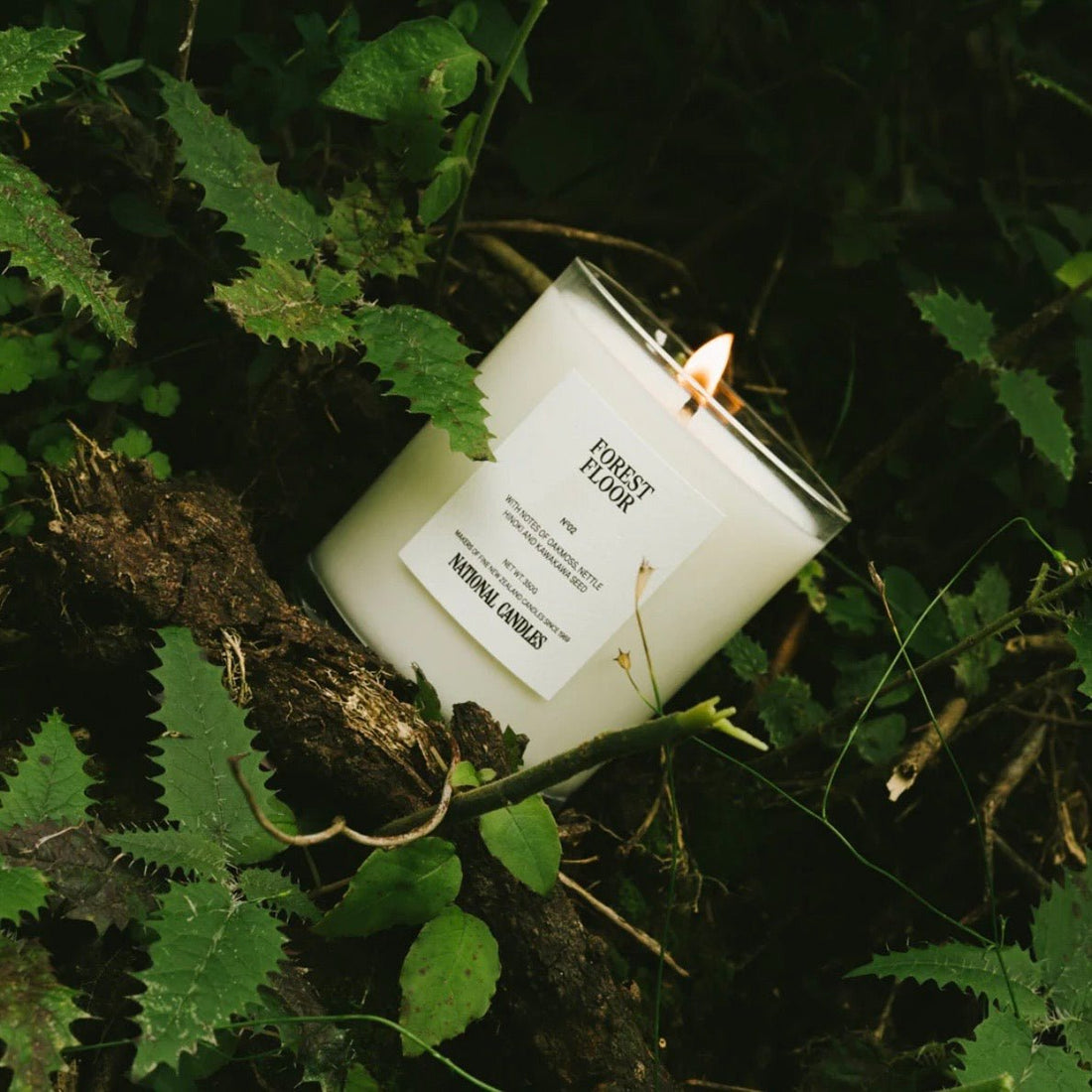 National Candles - Forest Floor Candle - The Flower Crate