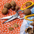 Niwaki - Mainichi Kitchen Scissors - The Flower Crate
