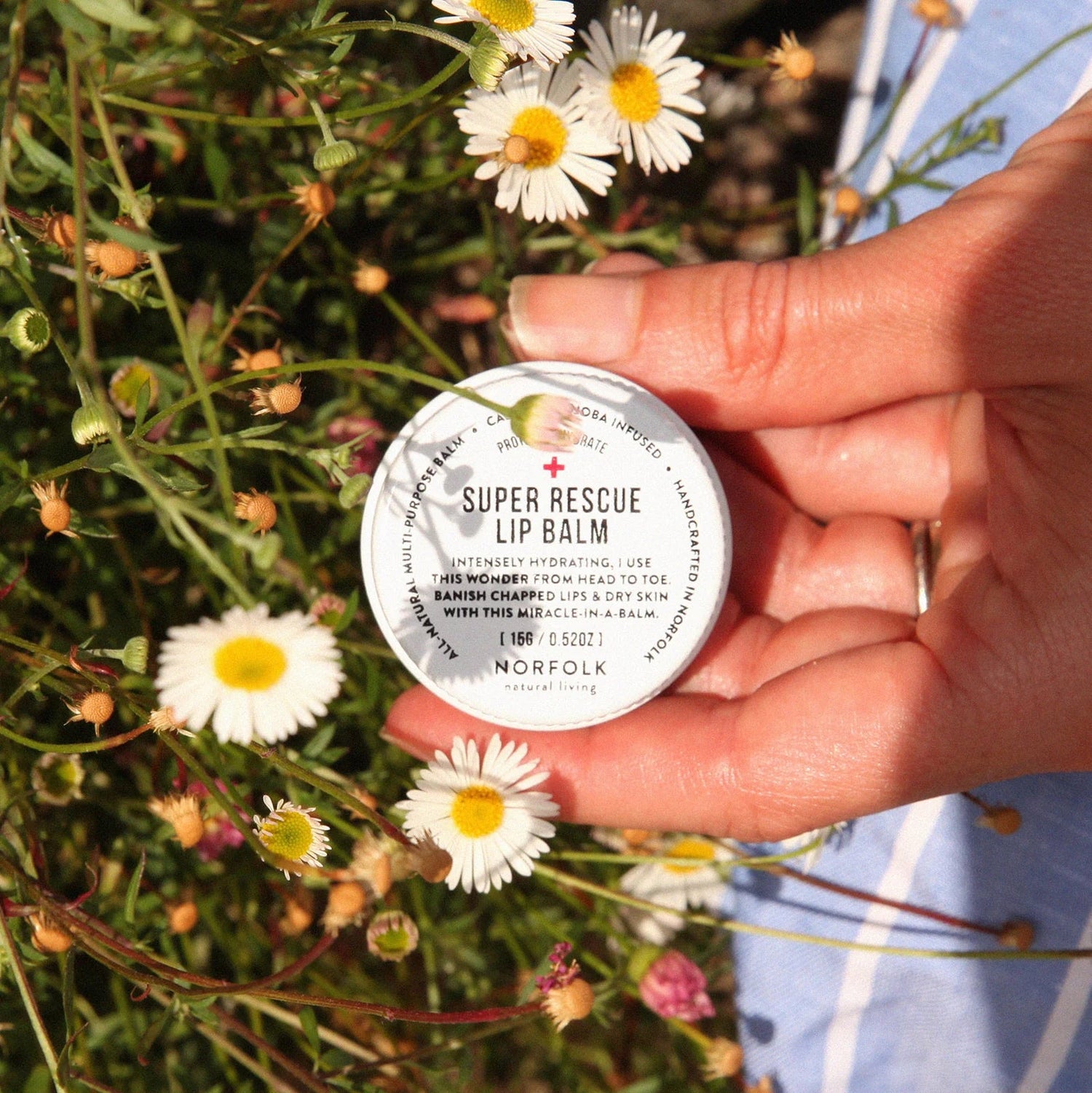 Norfolk Natural Living - Super Rescue Lip Balm - The Flower Crate