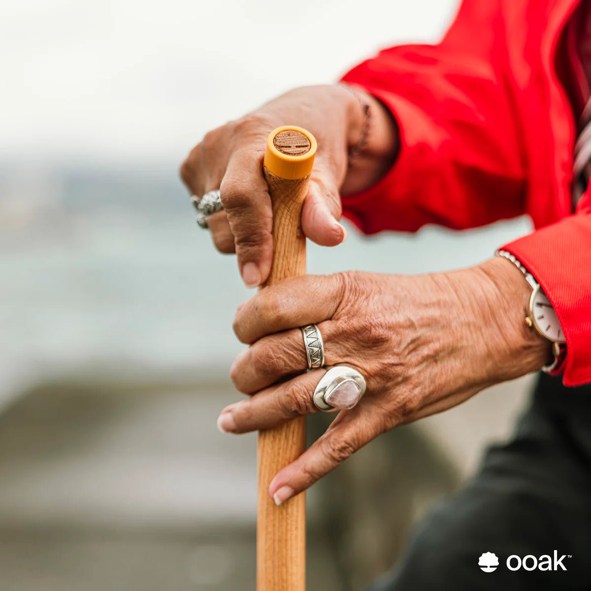 Ooak - Uno Walking Stick, Kōwhai &amp; Oak - The Flower Crate