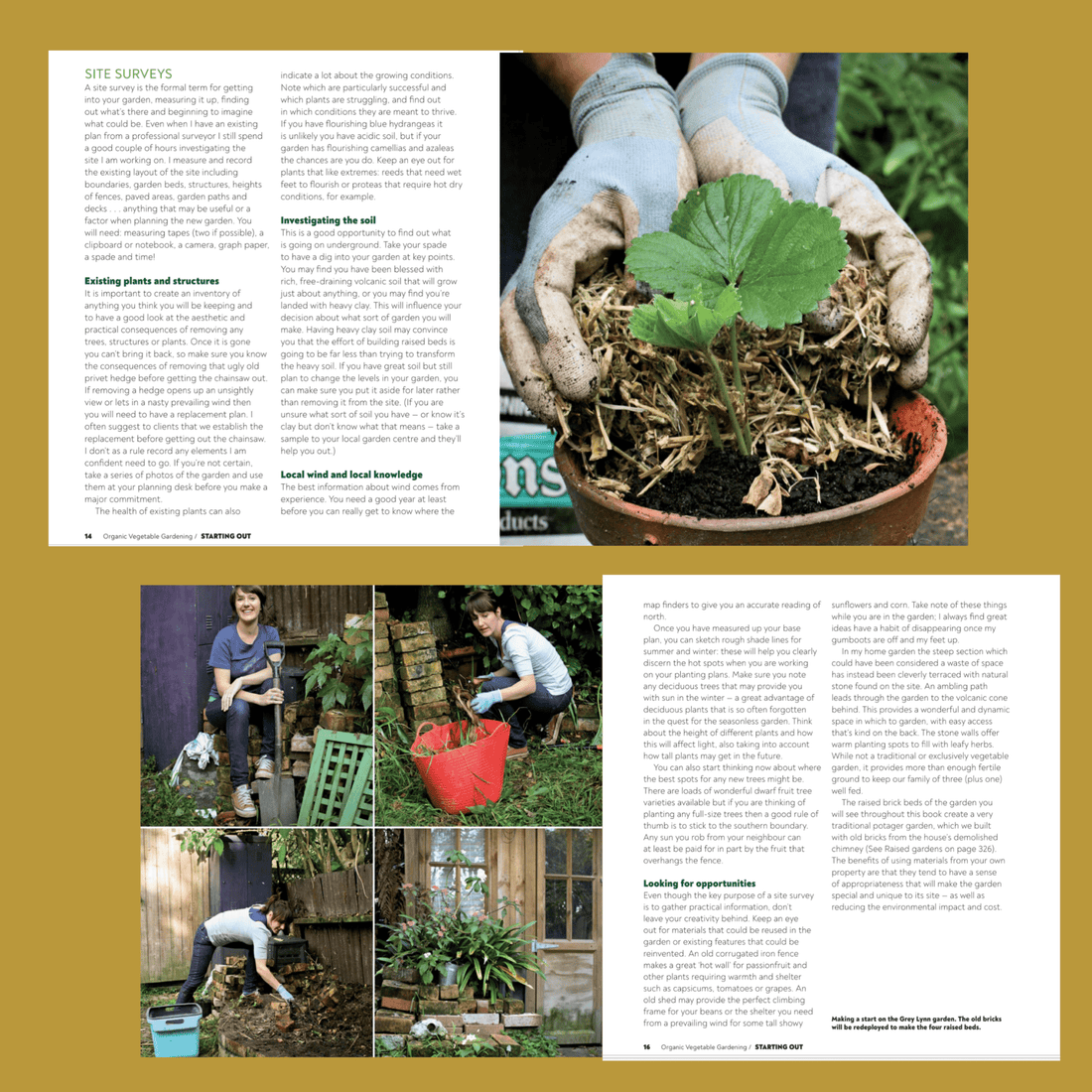 Organic Vegetable Gardening - A Month-by-month Guide to Growing your own Food - The Flower Crate