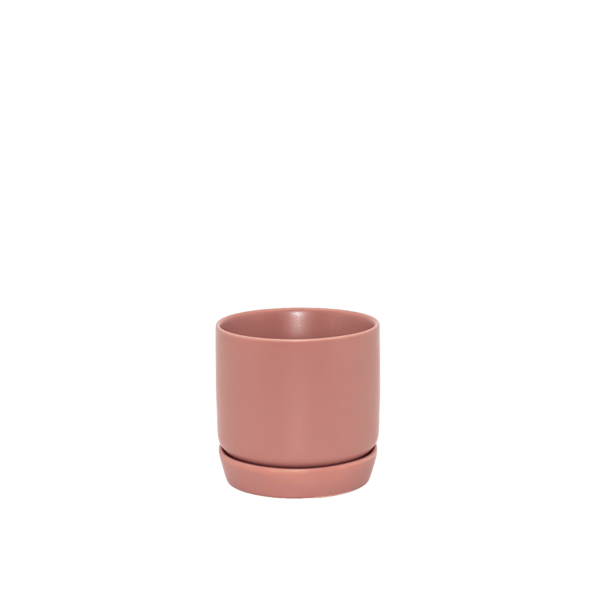 Oslo Planter - Rose, Mini - The Flower Crate