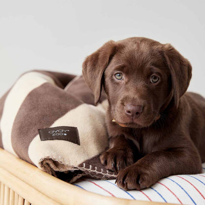 Oyoy - Kaya Dog Blanket - The Flower Crate