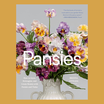 Pansies - The Flower Crate
