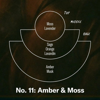 P.F Candle Co - Amber Moss - The Flower Crate