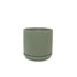 Potted - Medium Oslo Planter, Eucalypt - The Flower Crate