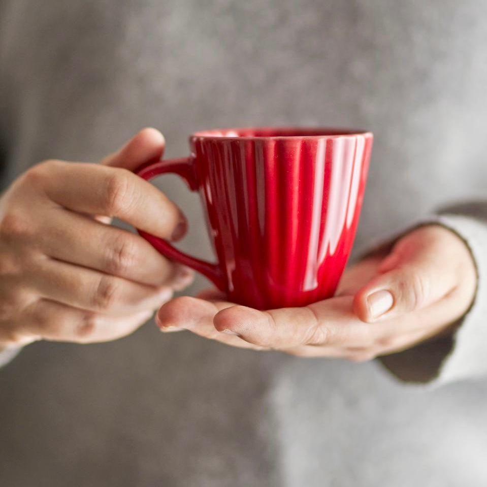 Red Latina Mug - The Flower Crate
