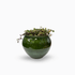 Sofia Urn - Green - The Flower Crate