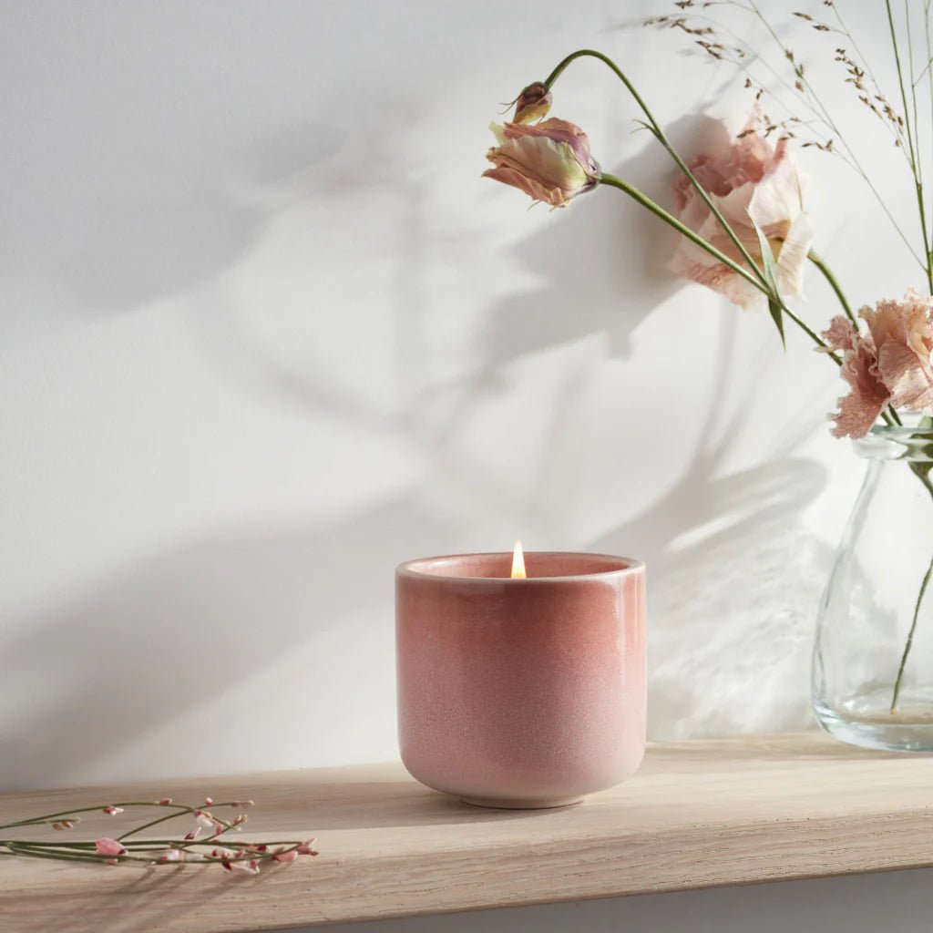 St. Eval - Potted Candle, Sweet Pea - The Flower Crate