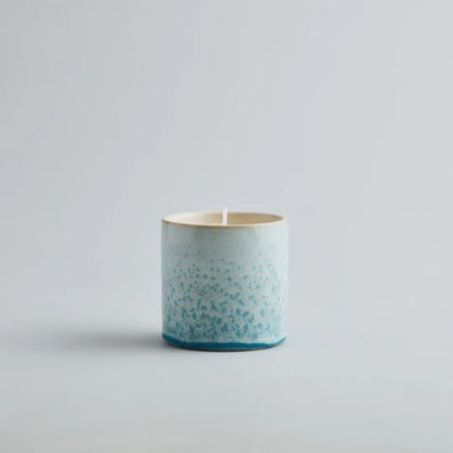 St. Eval - Potted Candle, Wild Gorse - The Flower Crate