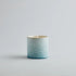St. Eval - Potted Candle, Wild Gorse - The Flower Crate