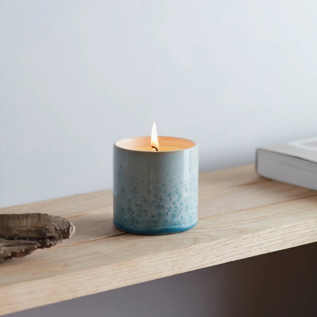 St. Eval - Potted Candle, Wild Gorse - The Flower Crate