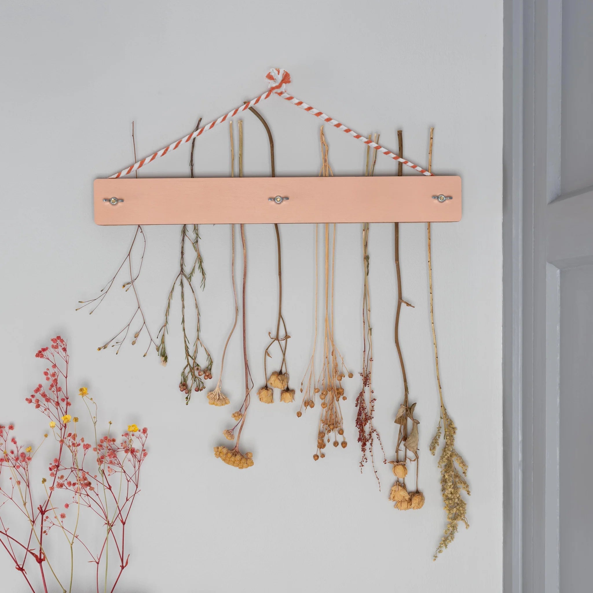 Studio Wald - Flower Drying Kit - The Flower Crate