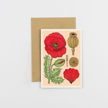 Studio Wald - Greeting Cards - The Flower Crate