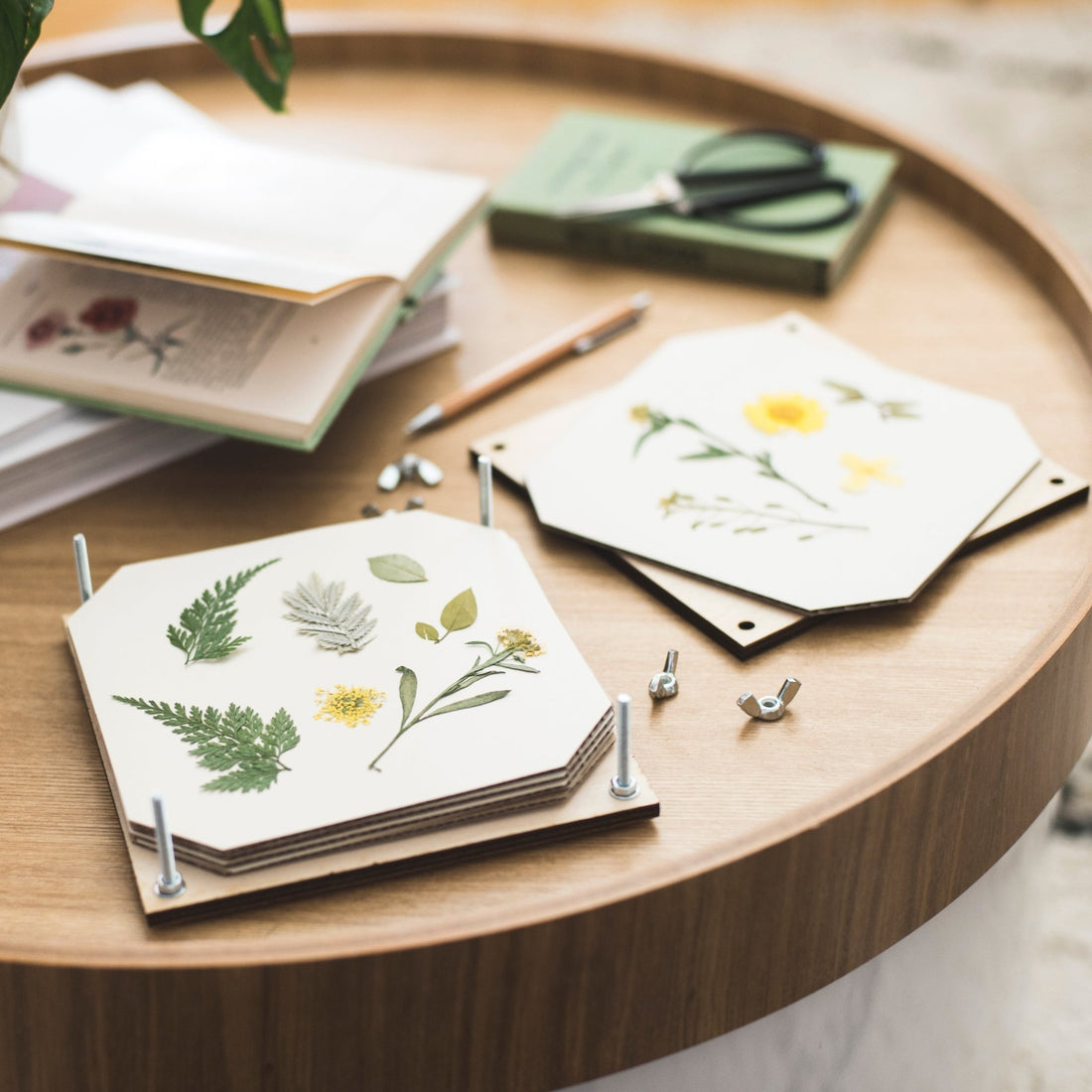 Studio Wald - Line Flower Press - The Flower Crate