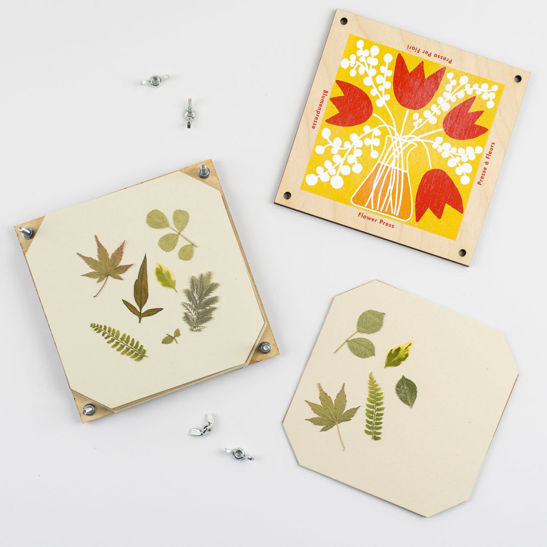 Studio Wald - Tulip Flower Press - The Flower Crate