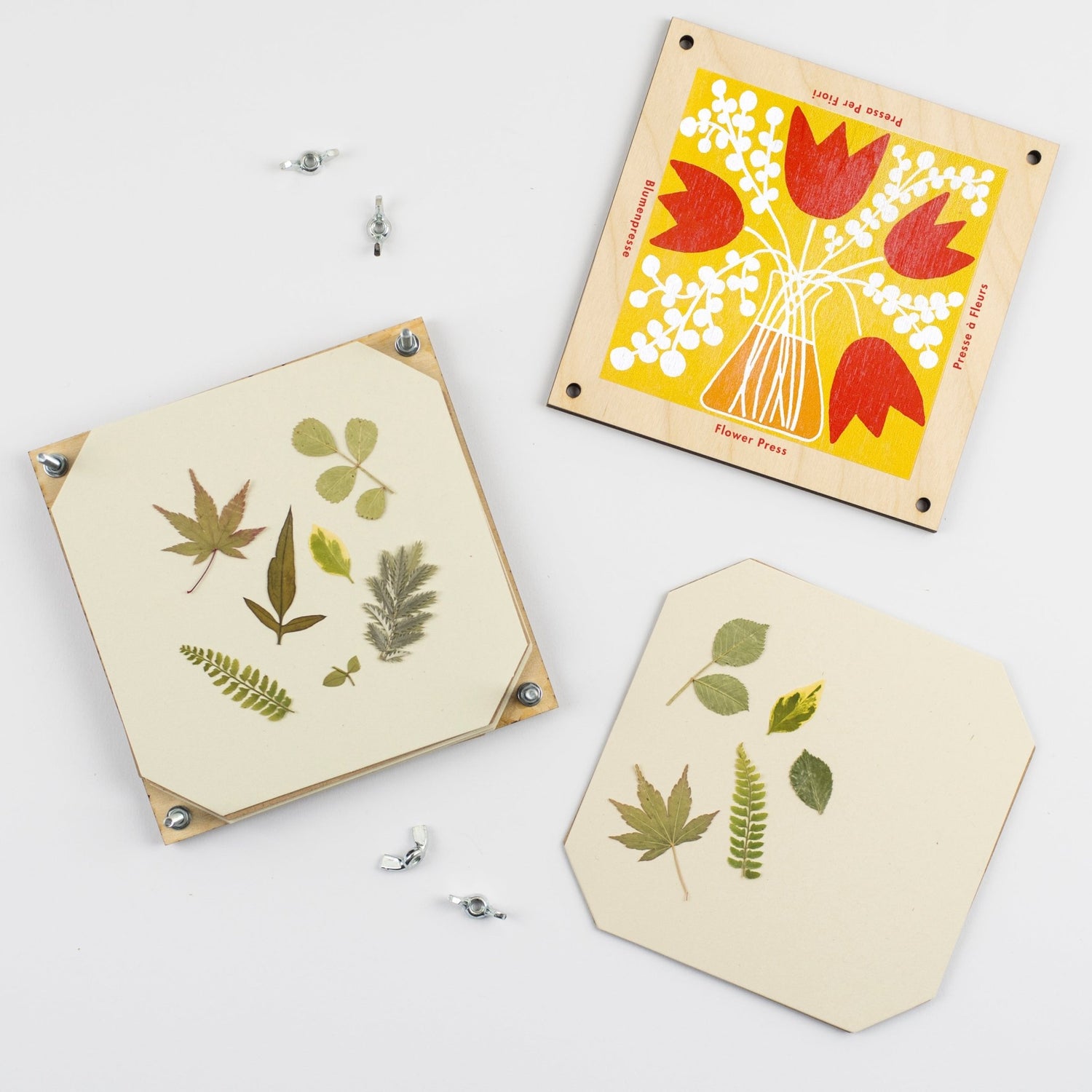 Studio Wald - Tulip Flower Press - The Flower Crate