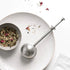 Teapop Infuser - The Flower Crate