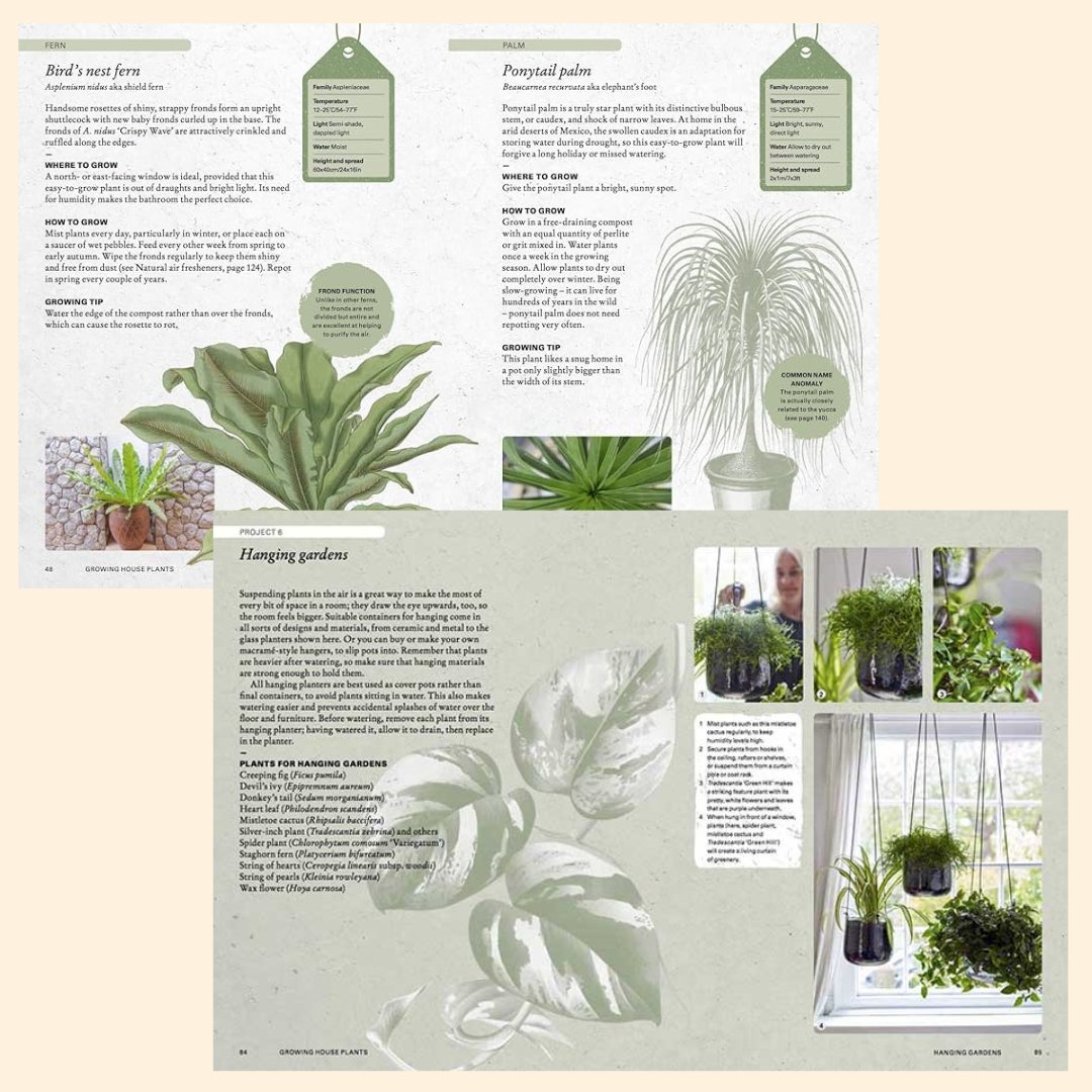 the kew gardener's guide to growing house plants The Kew Gardener's Guide To Growing House Plants