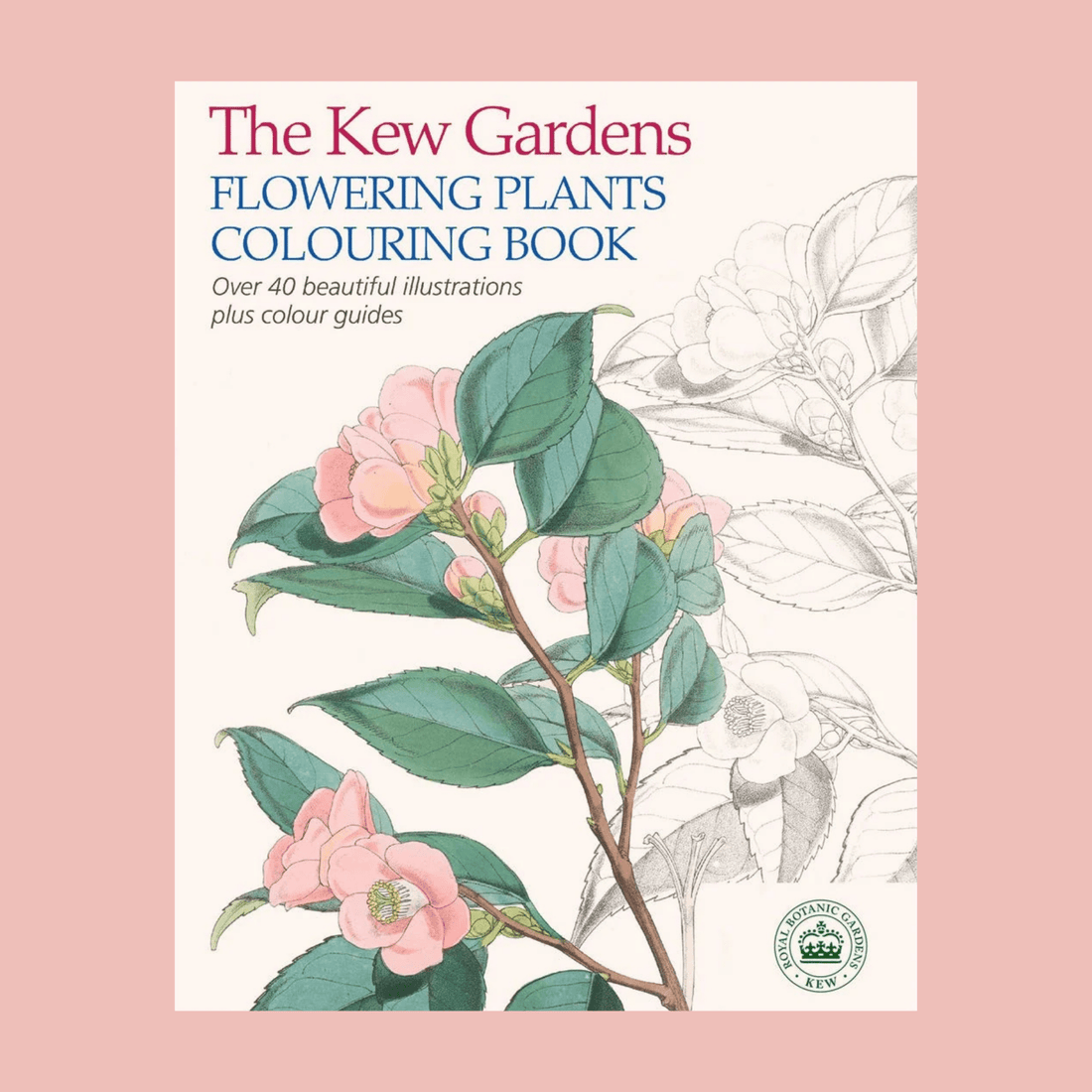 The Kew Gardens Flowering Plants Colouring Book - The Flower Crate