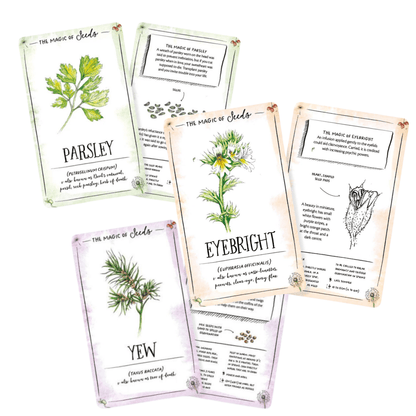 The Magic of Seeds Card Deck - The Flower Crate