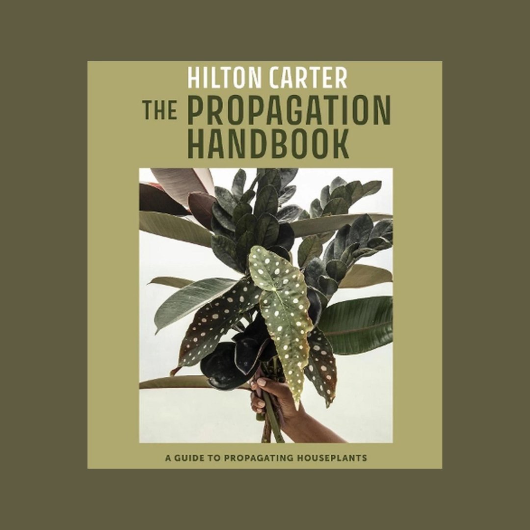 The Propagation Handbook - The Flower Crate