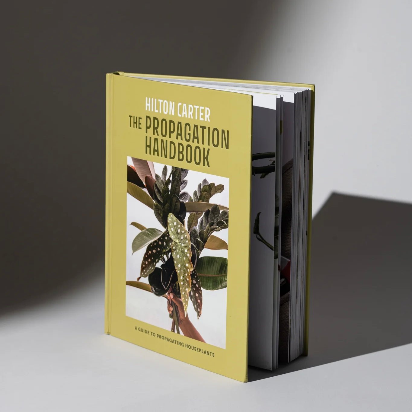 The Propagation Handbook - The Flower Crate