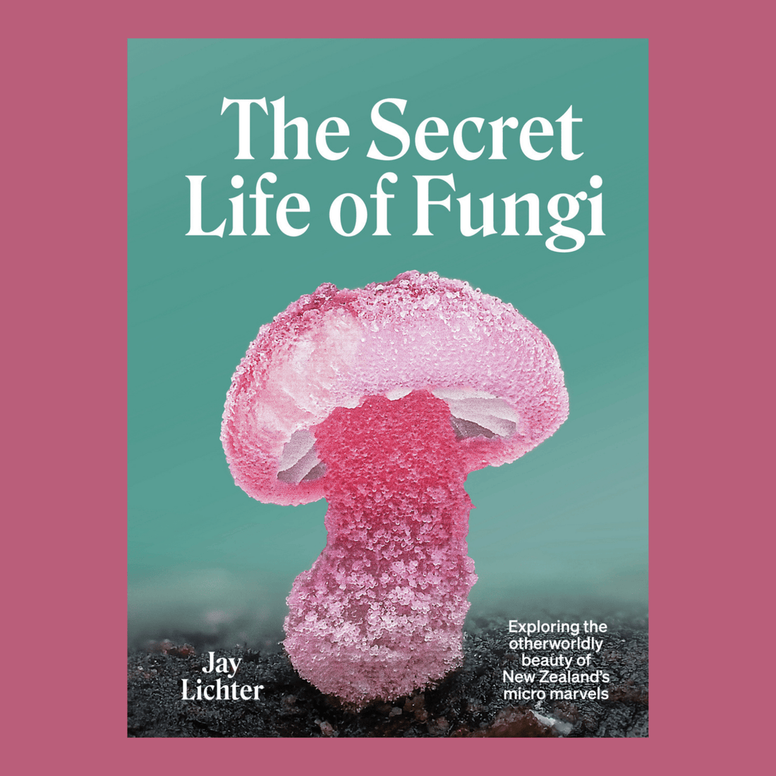 The Secret Life of Fungi by Jay Lichter - The Flower Crate