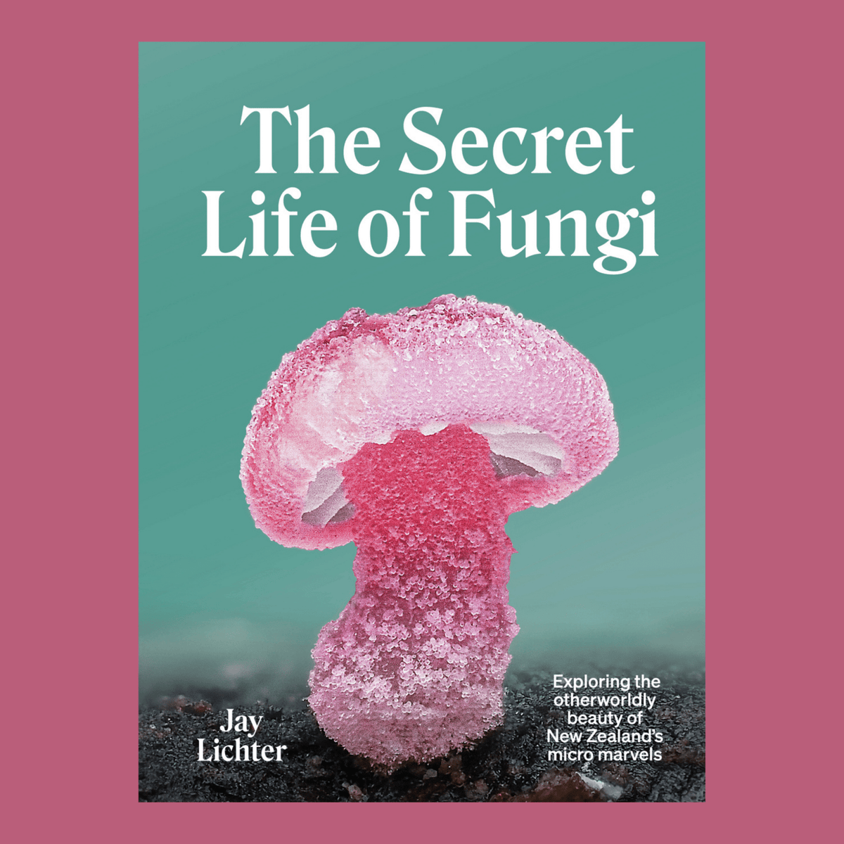 The Secret Life of Fungi by Jay Lichter - The Flower Crate